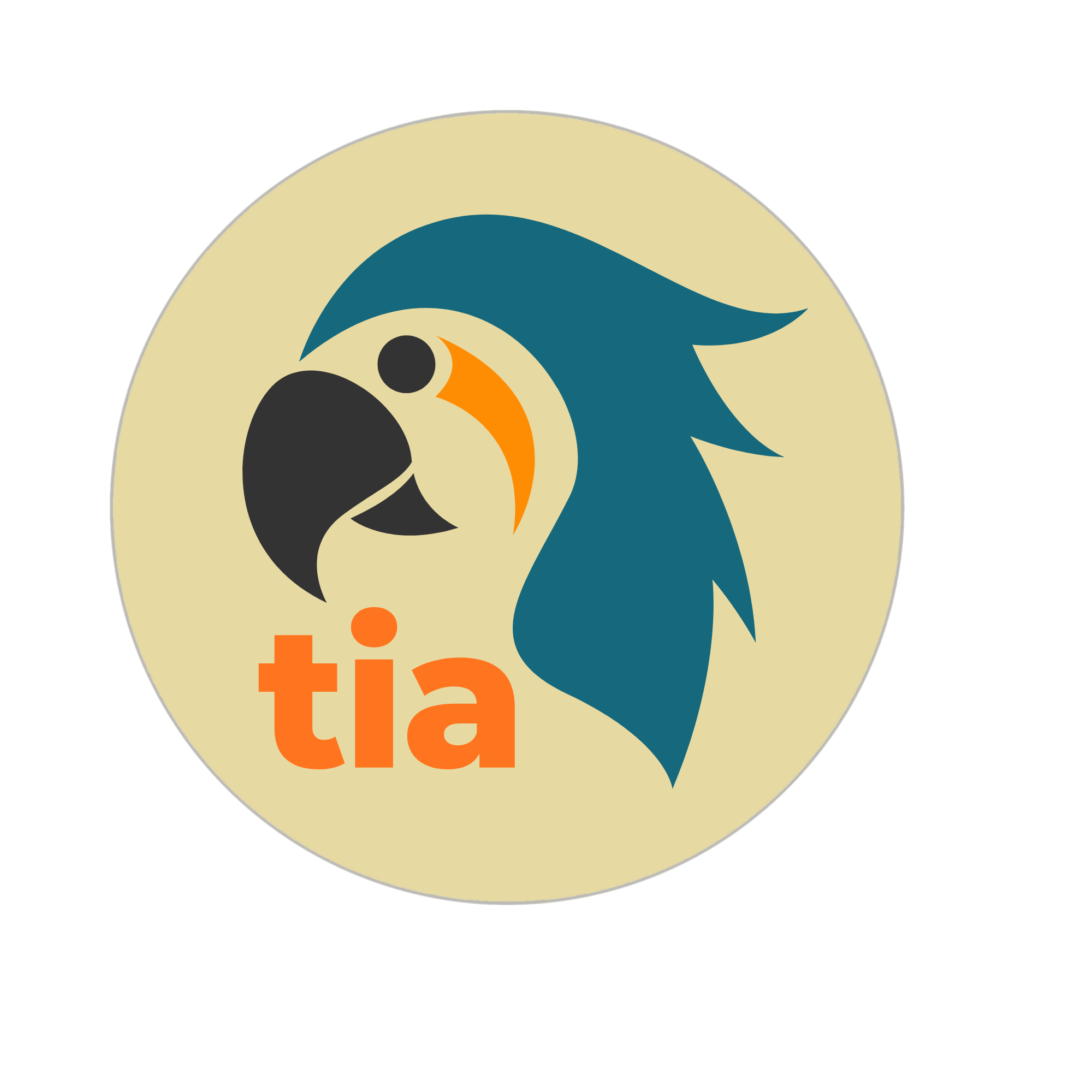 TiaMeet Logo